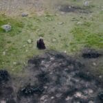 Sheepstealer: Conheça o dragão selvagem de "A Casa do Dragão"