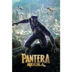 Trailer do filme Pantera Negra