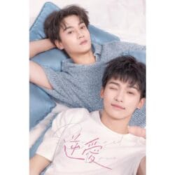 Onde Assistir Amor Vingado