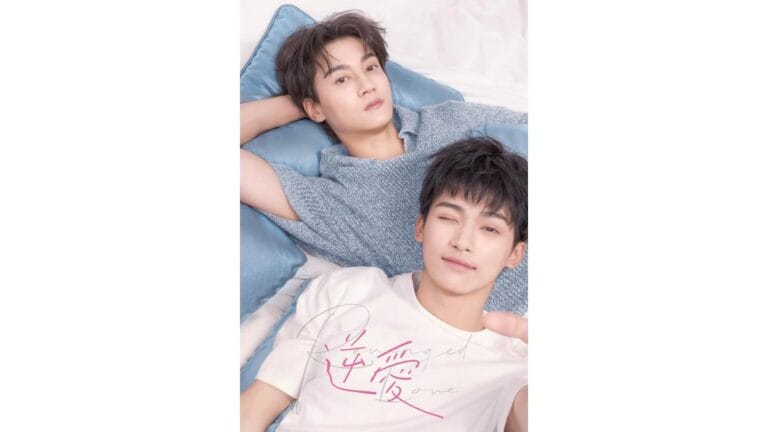 Onde Assistir Amor Vingado