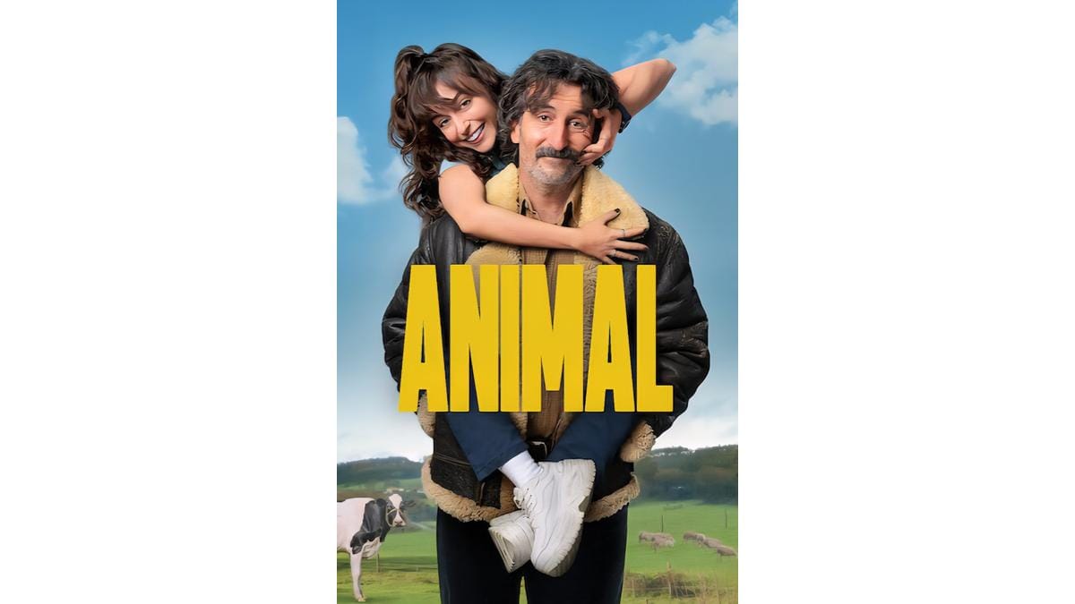 Onde Assistir Animal