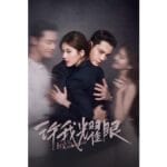 Onde Assistir Ambição do Amor